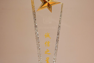 喜報(bào)！城投公司被評為 2023年度奉賢區(qū)“誠信之星”企業(yè)