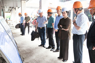 區(qū)政協(xié)領導視察奉發(fā)古華庭項目